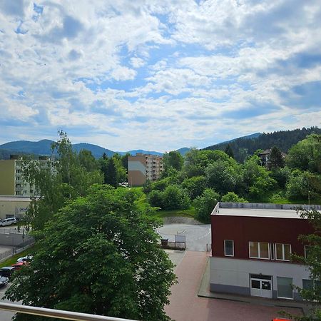 Wolf Apartman Pokojne Ubytovanie V Povazskej Bystrici Ticha Lokalita S Parkovanim Vsade Blizko Vhodne Pre Pracovne Cesty Turistiku Aj Oddych Plne Vybavena Kuchyna Považská Bystrica 외부 사진