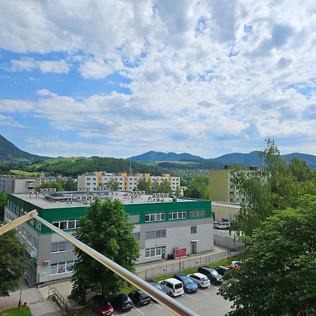 Wolf Apartman Pokojne Ubytovanie V Povazskej Bystrici Ticha Lokalita S Parkovanim Vsade Blizko Vhodne Pre Pracovne Cesty Turistiku Aj Oddych Plne Vybavena Kuchyna Považská Bystrica 외부 사진