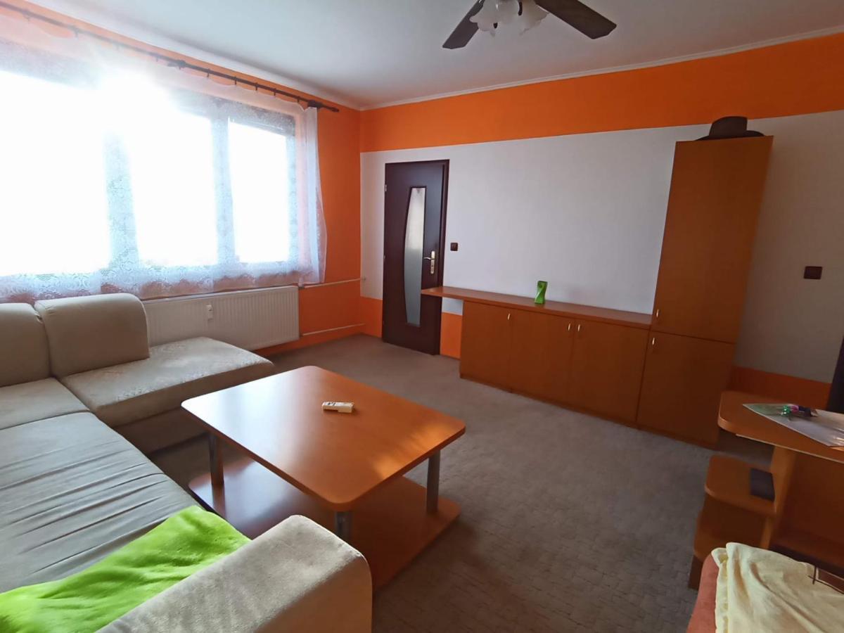 Wolf Apartman Pokojne Ubytovanie V Povazskej Bystrici Ticha Lokalita S Parkovanim Vsade Blizko Vhodne Pre Pracovne Cesty Turistiku Aj Oddych Plne Vybavena Kuchyna Považská Bystrica 외부 사진